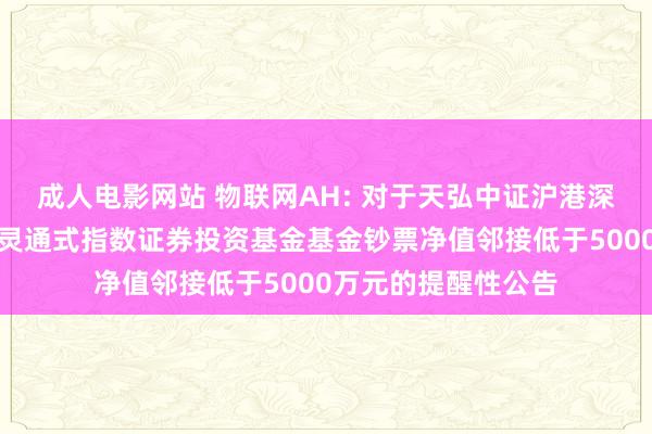 成人电影网站 物联网AH: 对于天弘中证沪港深物联网主题交游型灵通式指数证券投资基金基金钞票净值邻接低于5000万元的提醒性公告