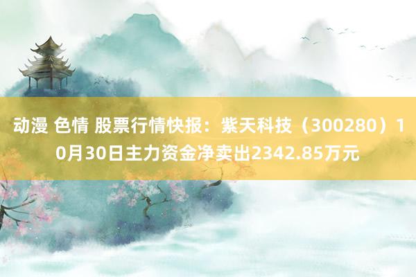 动漫 色情 股票行情快报：紫天科技（300280）10月30日主力资金净卖出2342.85万元