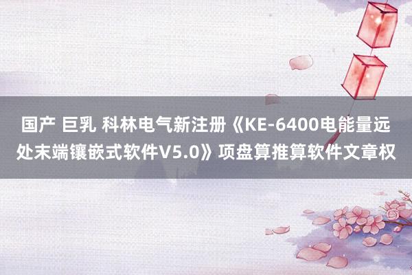 国产 巨乳 科林电气新注册《KE-6400电能量远处末端镶嵌式软件V5.0》项盘算推算软件文章权