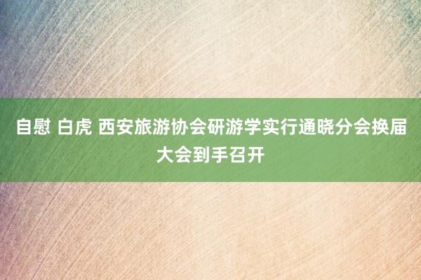 自慰 白虎 西安旅游协会研游学实行通晓分会换届大会到手召开