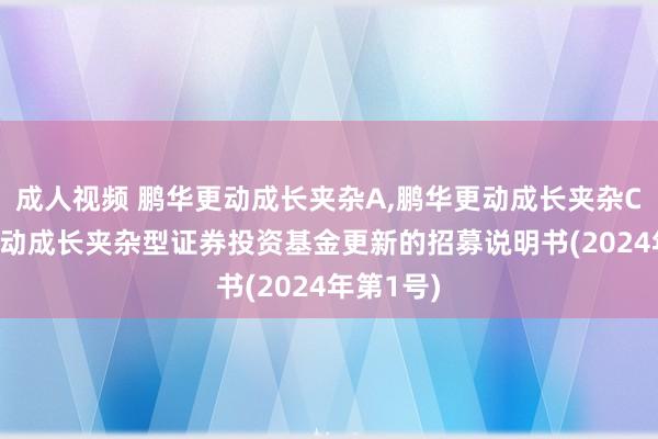 成人视频 鹏华更动成长夹杂A,鹏华更动成长夹杂C: 鹏华更动成长夹杂型证券投资基金更新的招募说明书(2024年第1号)
