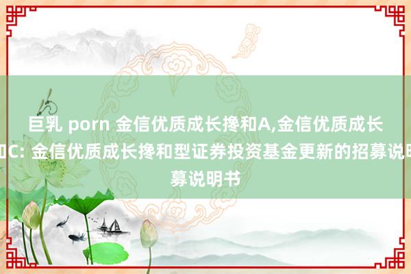 巨乳 porn 金信优质成长搀和A,金信优质成长搀和C: 金信优质成长搀和型证券投资基金更新的招募说明书