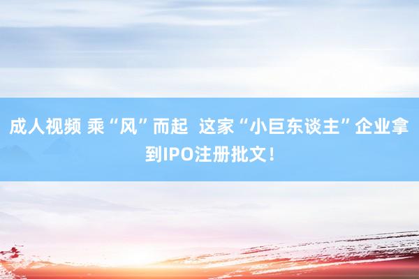 成人视频 乘“风”而起  这家“小巨东谈主”企业拿到IPO注册批文！