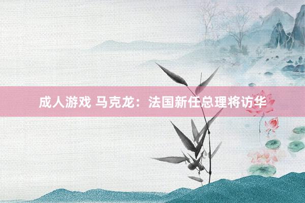 成人游戏 马克龙：法国新任总理将访华