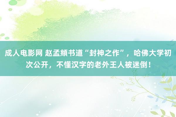 成人电影网 赵孟頫书道“封神之作”，哈佛大学初次公开，不懂汉字的老外王人被迷倒！