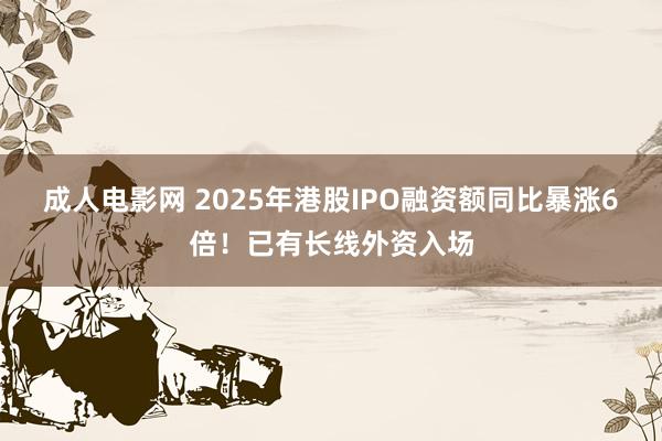 成人电影网 2025年港股IPO融资额同比暴涨6倍！已有长线外资入场