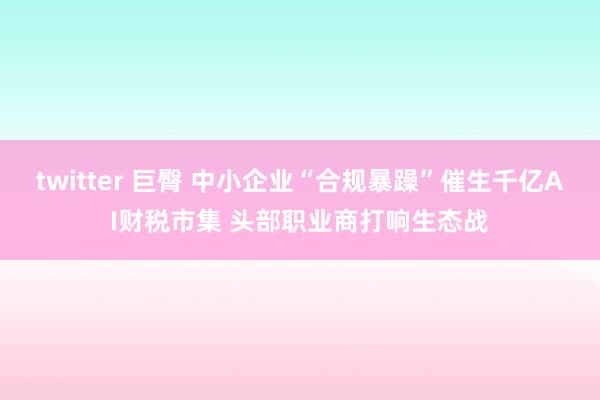 twitter 巨臀 中小企业“合规暴躁”催生千亿AI财税市集 头部职业商打响生态战