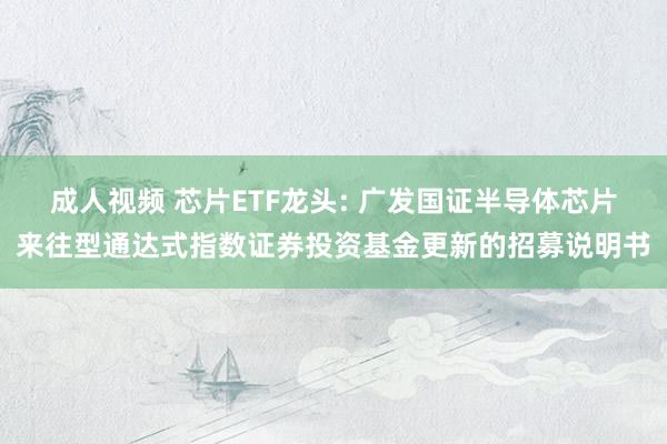 成人视频 芯片ETF龙头: 广发国证半导体芯片来往型通达式指数证券投资基金更新的招募说明书