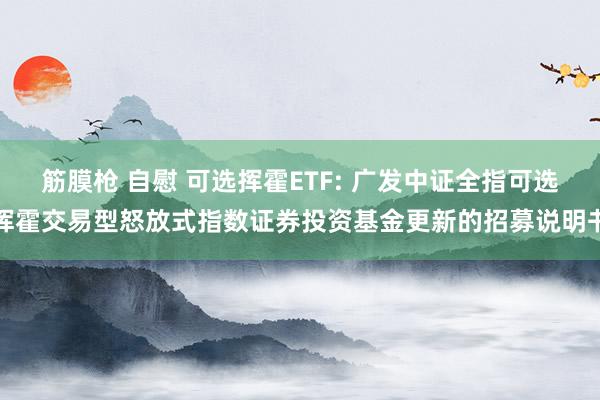 筋膜枪 自慰 可选挥霍ETF: 广发中证全指可选挥霍交易型怒放式指数证券投资基金更新的招募说明书