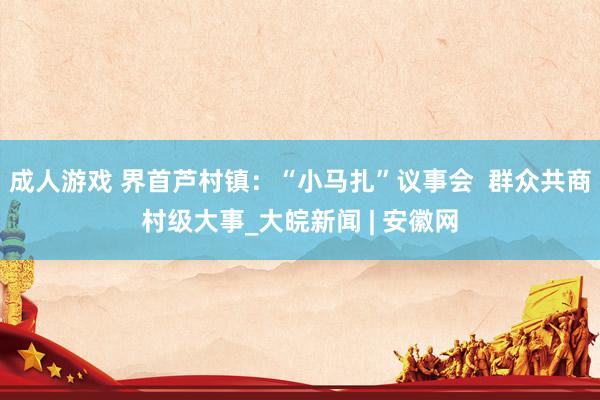 成人游戏 界首芦村镇：“小马扎”议事会  群众共商村级大事_大皖新闻 | 安徽网