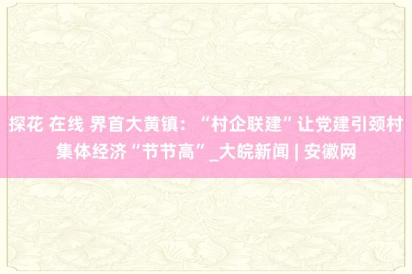 探花 在线 界首大黄镇：“村企联建”让党建引颈村集体经济“节节高”_大皖新闻 | 安徽网