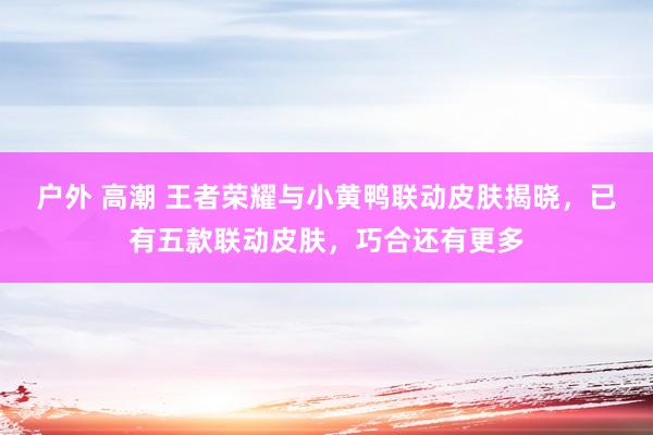 户外 高潮 王者荣耀与小黄鸭联动皮肤揭晓，已有五款联动皮肤，巧合还有更多