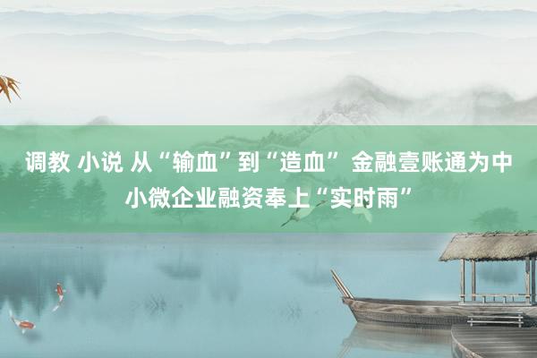 调教 小说 从“输血”到“造血” 金融壹账通为中小微企业融资奉上“实时雨”
