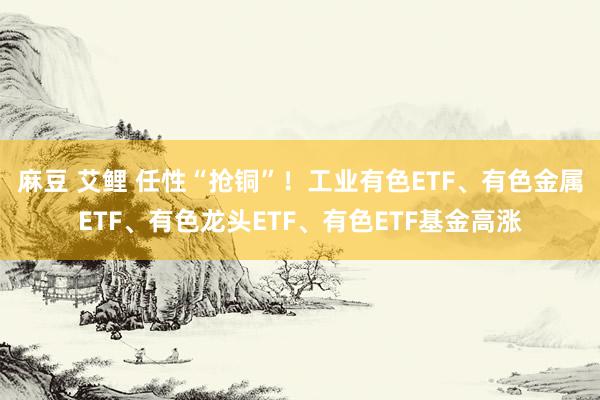 麻豆 艾鲤 任性“抢铜”！工业有色ETF、有色金属ETF、有色龙头ETF、有色ETF基金高涨