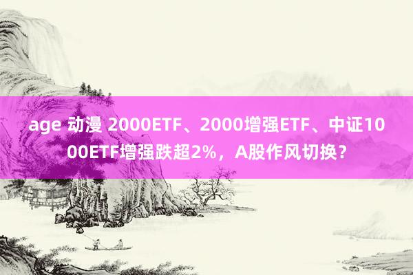 age 动漫 2000ETF、2000增强ETF、中证1000ETF增强跌超2%，A股作风切换？