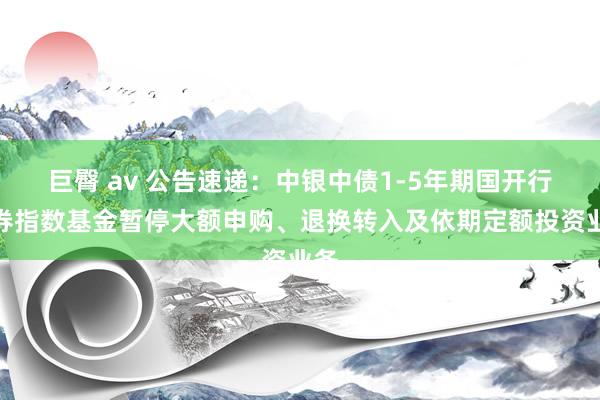 巨臀 av 公告速递：中银中债1-5年期国开行债券指数基金暂停大额申购、退换转入及依期定额投资业务