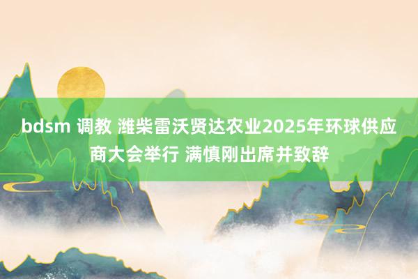 bdsm 调教 潍柴雷沃贤达农业2025年环球供应商大会举行 满慎刚出席并致辞