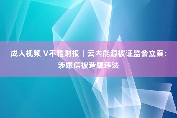 成人视频 V不雅财报｜云内能源被证监会立案：涉嫌信披造孽违法
