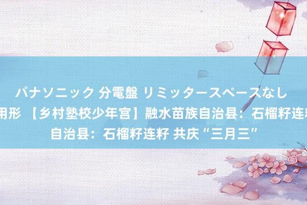 パナソニック 分電盤 リミッタースペースなし 露出・半埋込両用形 【乡村塾校少年宫】融水苗族自治县：石榴籽连籽 共庆“三月三”