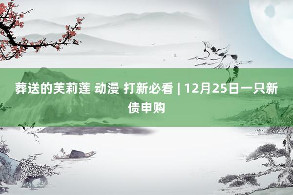葬送的芙莉莲 动漫 打新必看 | 12月25日一只新债申购