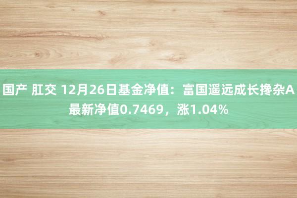 国产 肛交 12月26日基金净值：富国遥远成长搀杂A最新净值0.7469，涨1.04%