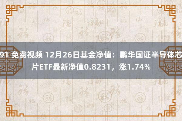 91 免费视频 12月26日基金净值：鹏华国证半导体芯片ETF最新净值0.8231，涨1.74%