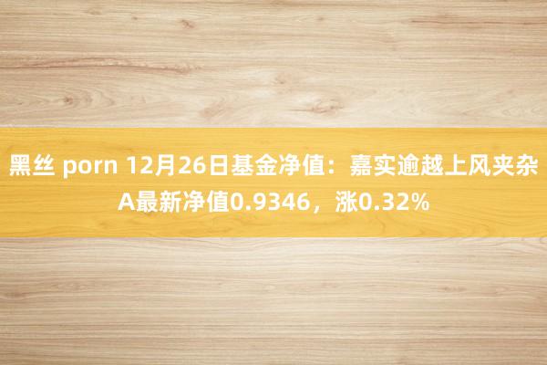 黑丝 porn 12月26日基金净值：嘉实逾越上风夹杂A最新净值0.9346，涨0.32%