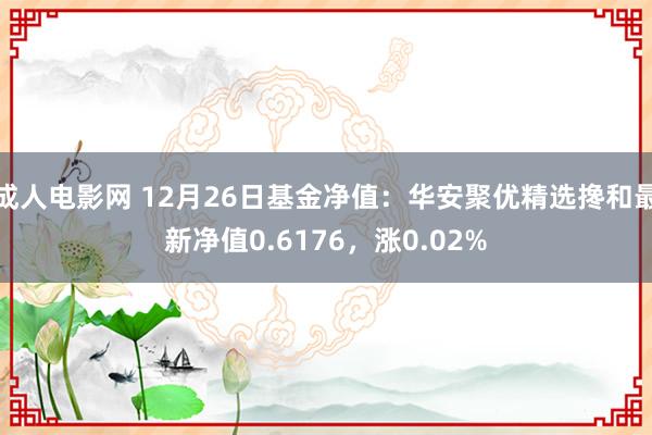 成人电影网 12月26日基金净值：华安聚优精选搀和最新净值0.6176，涨0.02%