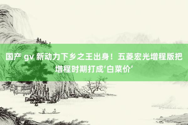 国产 gv 新动力下乡之王出身！五菱宏光增程版把增程时期打成‘白菜价’