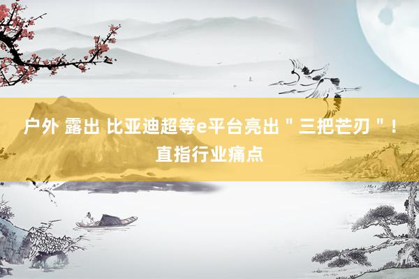 户外 露出 比亚迪超等e平台亮出＂三把芒刃＂！直指行业痛点