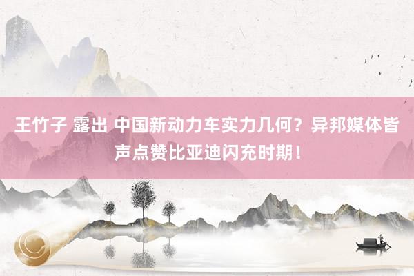 王竹子 露出 中国新动力车实力几何？异邦媒体皆声点赞比亚迪闪充时期！