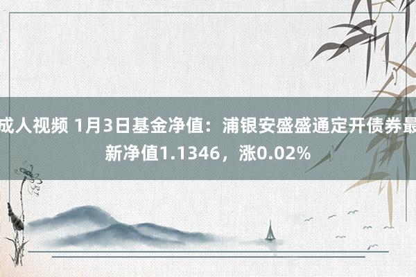 成人视频 1月3日基金净值：浦银安盛盛通定开债券最新净值1.1346，涨0.02%