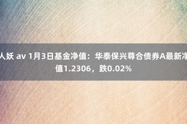 人妖 av 1月3日基金净值：华泰保兴尊合债券A最新净值1.2306，跌0.02%