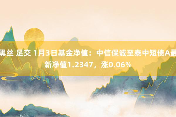黑丝 足交 1月3日基金净值：中信保诚至泰中短债A最新净值1.2347，涨0.06%