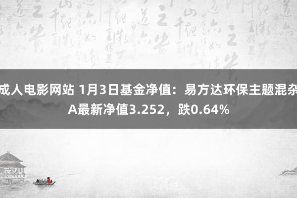 成人电影网站 1月3日基金净值：易方达环保主题混杂A最新净值3.252，跌0.64%