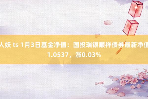 人妖 ts 1月3日基金净值：国投瑞银顺祥债券最新净值1.0537，涨0.03%