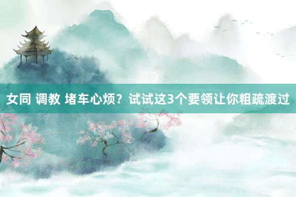 女同 调教 堵车心烦？试试这3个要领让你粗疏渡过