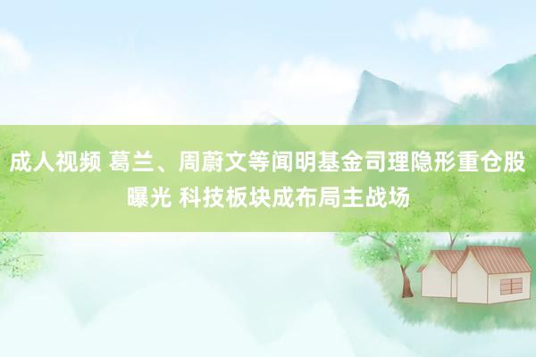 成人视频 葛兰、周蔚文等闻明基金司理隐形重仓股曝光 科技板块成布局主战场