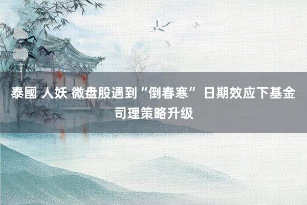 泰國 人妖 微盘股遇到“倒春寒” 日期效应下基金司理策略升级