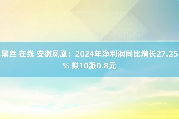 黑丝 在线 安徽凤凰：2024年净利润同比增长27.25% 拟10派0.8元