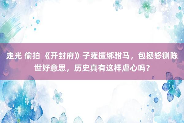 走光 偷拍 《开封府》子雍擅绑驸马，包拯怒铡陈世好意思，历史真有这样虐心吗？