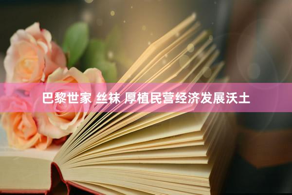 巴黎世家 丝袜 厚植民营经济发展沃土