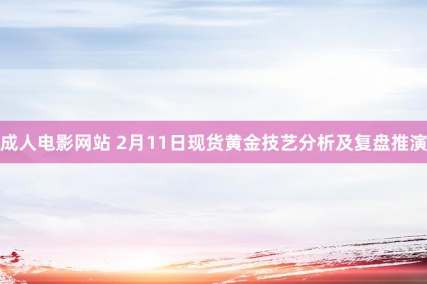 成人电影网站 2月11日现货黄金技艺分析及复盘推演