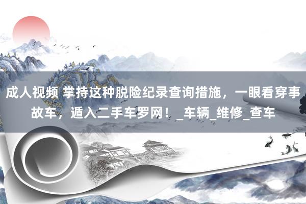 成人视频 掌持这种脱险纪录查询措施，一眼看穿事故车，遁入二手车罗网！_车辆_维修_查车