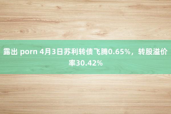 露出 porn 4月3日苏利转债飞腾0.65%，转股溢价率30.42%