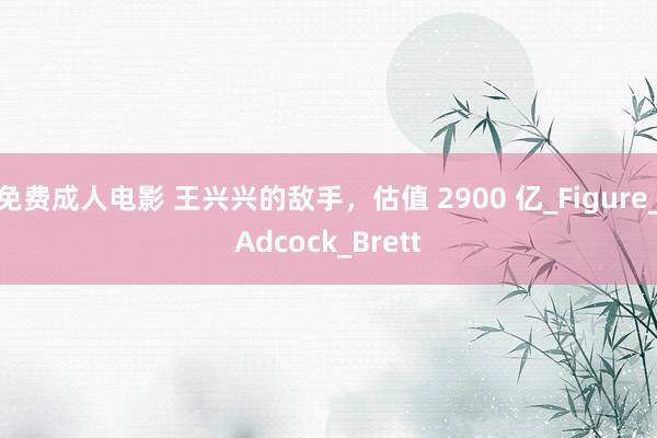免费成人电影 王兴兴的敌手，估值 2900 亿_Figure_Adcock_Brett