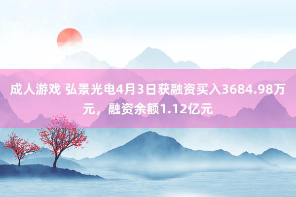 成人游戏 弘景光电4月3日获融资买入3684.98万元，融资余额1.12亿元