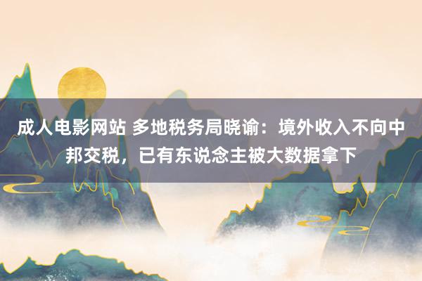 成人电影网站 多地税务局晓谕：境外收入不向中邦交税，已有东说念主被大数据拿下