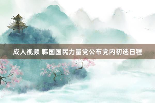 成人视频 韩国国民力量党公布党内初选日程