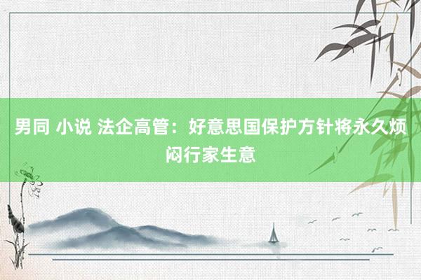 男同 小说 法企高管：好意思国保护方针将永久烦闷行家生意